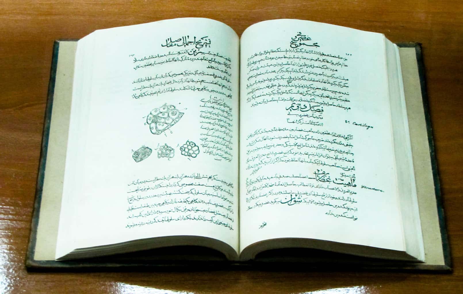 One of Islam’s  Greatest Contributions to the World of Science; Ibn Sina’s Canon of Medicine