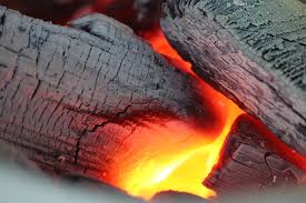 Charcoal an Ancient and Modern Remedy