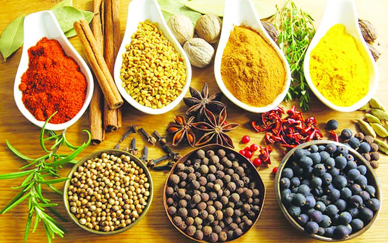 Herbs to Rejuvenate the Kidneys