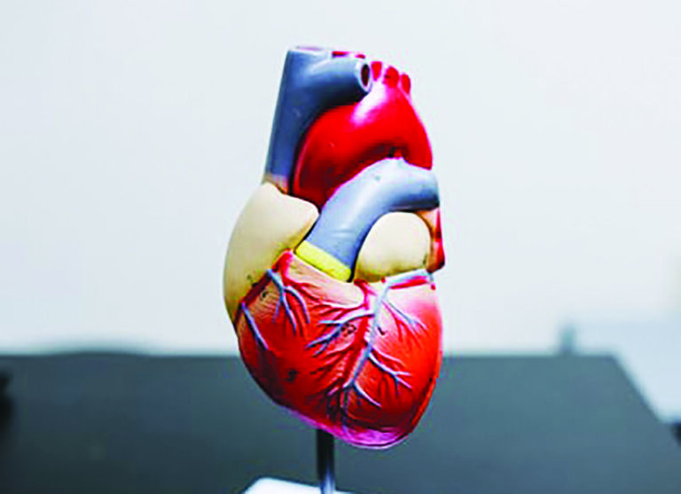 Heart Healthy Recipes