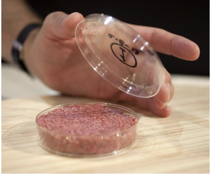 The world's first cultured hamburger meat, 2013. It was developed by a team of scientists from Germany at a cost of €250,000.