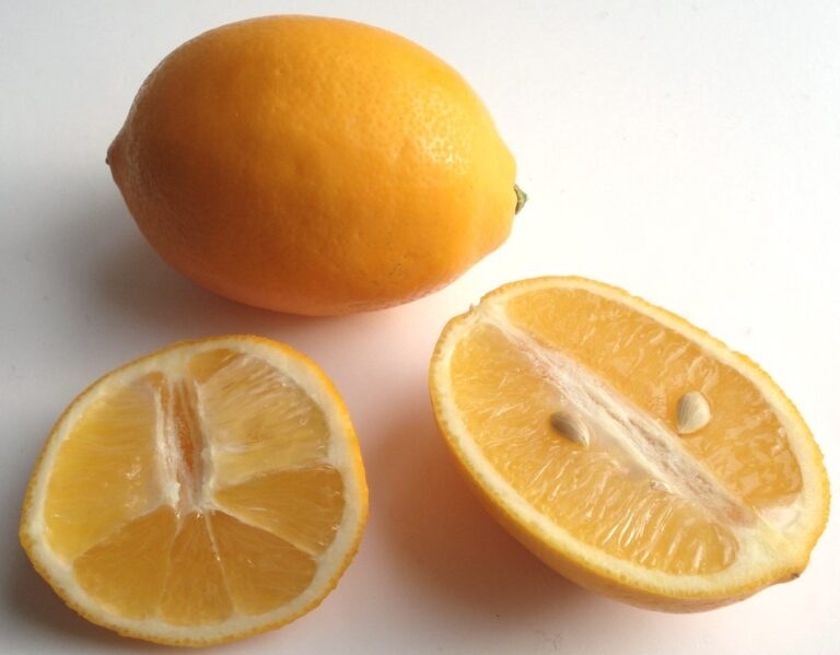 Citrus fruits are among the top vitamin C foods. Historically used to treat and prevent scurvy. lemons also boost immune, heart, kidney, and skin health.
