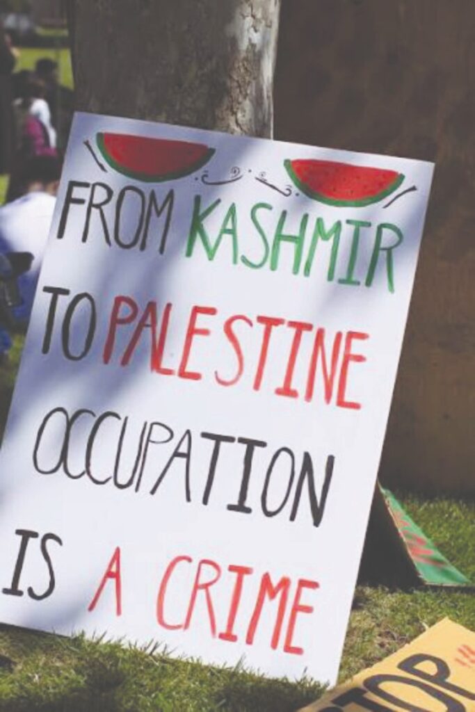 224 kashmir (1)
