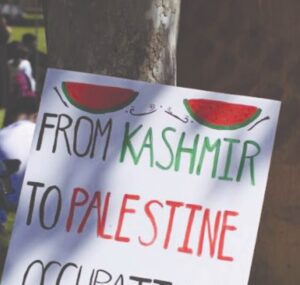224 kashmir (1)