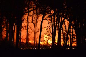 Over 70,000 people have been evacuated from their homes in Europe due to heat waves and wildfires
