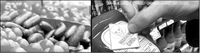 Global Day of Action: Occupy our Food Supply